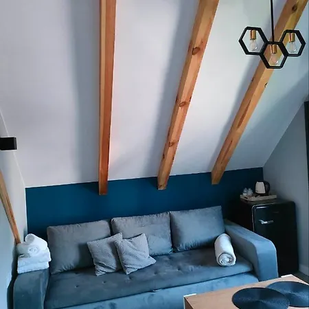 Apartment Kryniczanka *